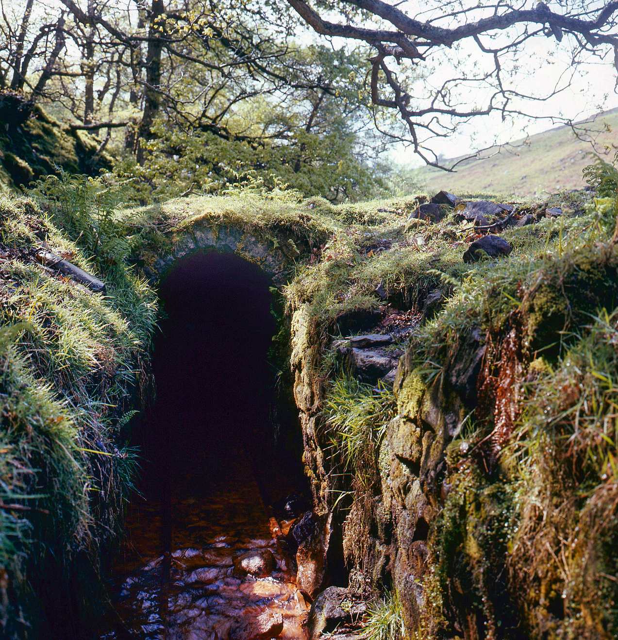 Wonderful Level portal Ashfoldside gill 1971